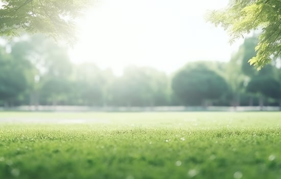 AI generated the image shows a grassy lawn with trees and trees background, photo