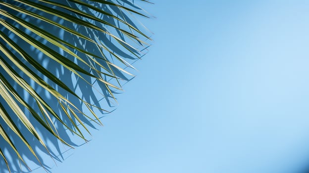 AI generated top view of palm leaves on blue background copy space, Tropical palm leaves from above - flat lay photo