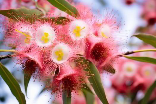 AI generated Beautiful Gum tree pink flowers and buds. AI Generated photo