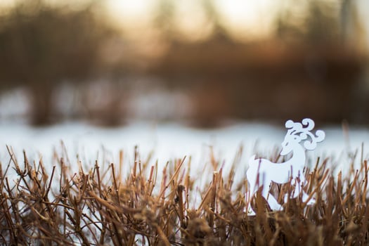 White reindeer figurine standing in the snow in winter forest photo