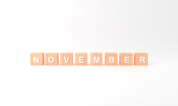 Minimal white word November wooden cubes on white background. Winter season. 3d rendering photo