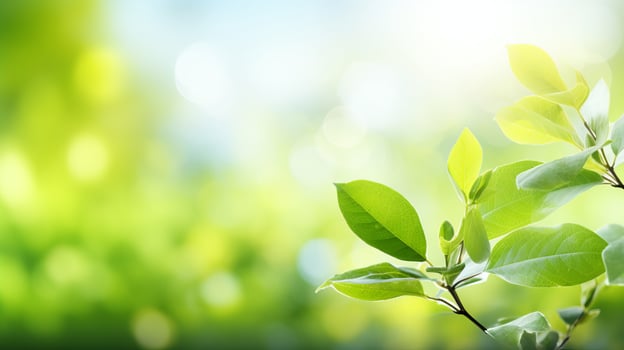 AI generated Fresh green bio background with blurred foliage and sunlight   ideal for text or advertising photo
