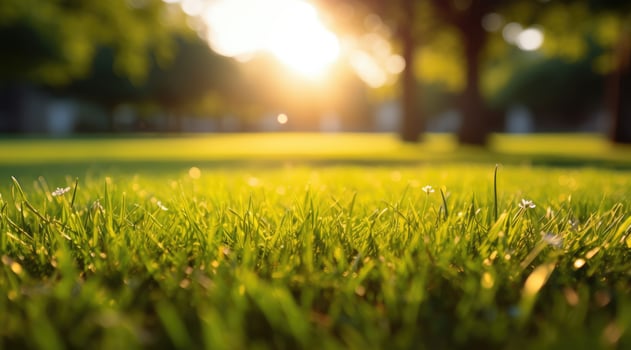 AI generated a photo of a green lawn at the grass green lawn