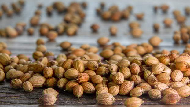 Macro photography from coriander seed on wooden table photo