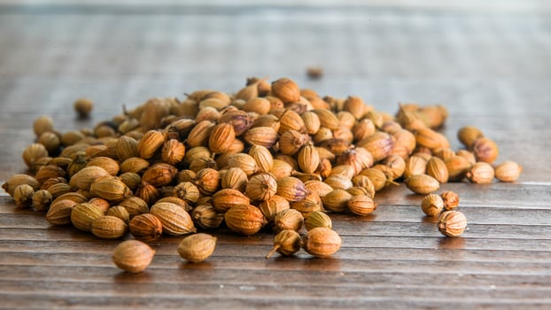 Macro photography from coriander seed on wooden table photo