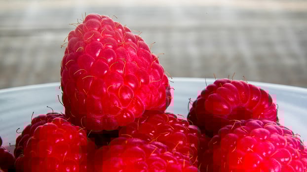 Macro close up from sweet red raspberries photo