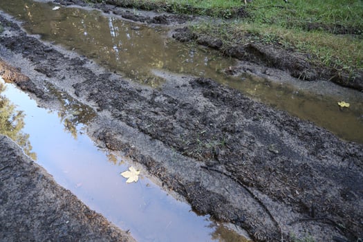 Muddy tracks with puddles on wet muddy surface in forest path photo