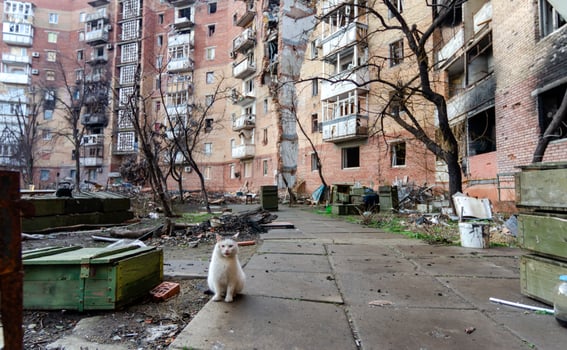 destroyed and burned houses in the city Russia Ukraine war photo