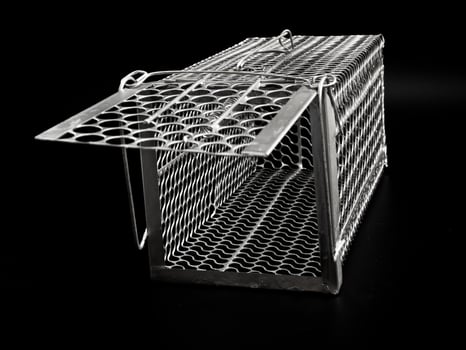 Cage mouse trap photo