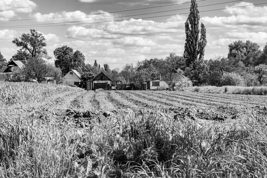 Photography on theme big empty farm field for organic harvest photo