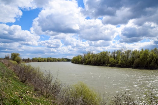 Spring landscape on the river. Spilling the river. Blossoming buds in the trees. photo