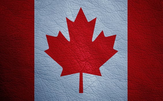 Leather textured flag photo