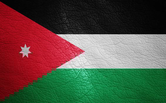 Leather textured flag photo