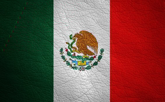 Leather textured flag photo