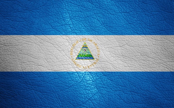 Leather textured flag photo