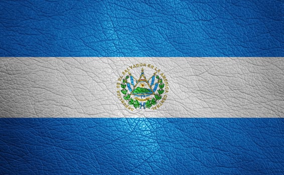 Leather textured flag photo