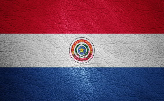 Leather textured flag photo