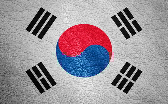 Leather textured flag photo