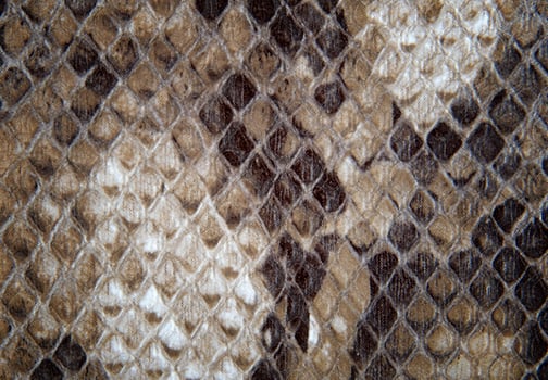 leather background texture photo