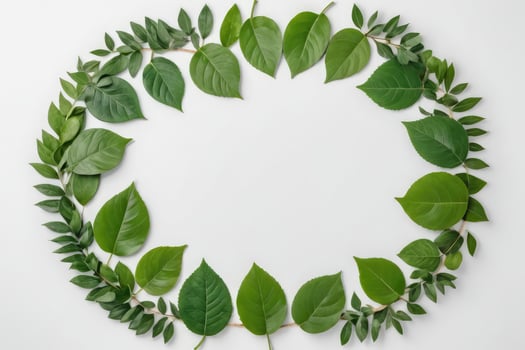 green leaves decorated wooden circle frame against white backdrop photo