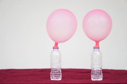 Two pink balloons on top of bottles. Concept, science experiment about reaction of chemical substance, vinegar and baking soda that cause balloon inflat. Last step of experiment photo