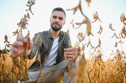 Farmer agronomist on a soybean field. Agricultural industry. photo
