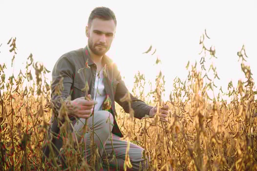 Farmer agronomist on a soybean field. Agricultural industry. photo
