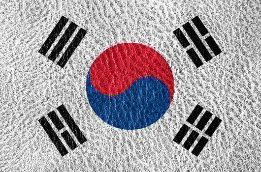 abstract leather texture with the flag photo