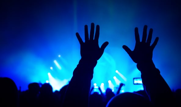 Rock concert fan photo