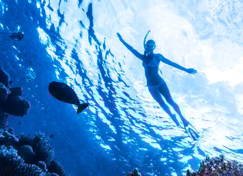 Active woman diving photo