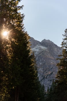 Sun shining through the trees with a rocky mountain on the background photo