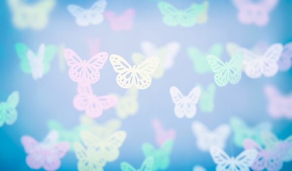 Abstract butterfly background photo