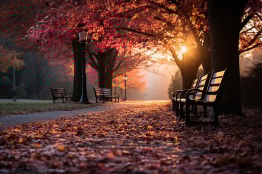 AI generated Soft light on tranquil fall foliage, sunrise and sunset wallpaper photo