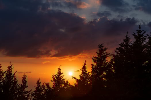 Panoramic View of a Sunset over Forest photo