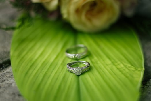 Pair of wedding rings photo