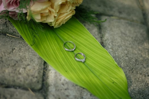 Pair of wedding rings photo