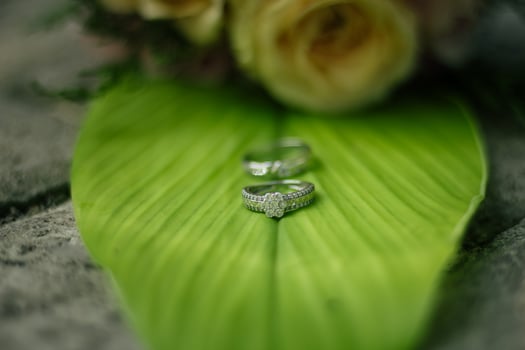 Pair of wedding rings photo