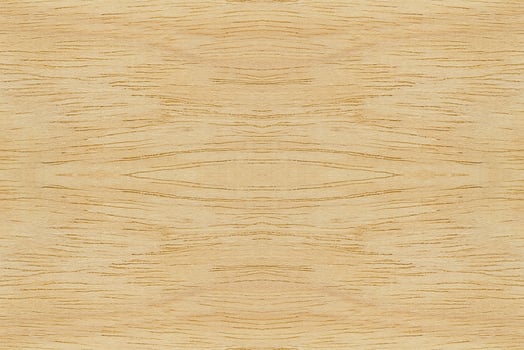 Texture of wood background closeup photo