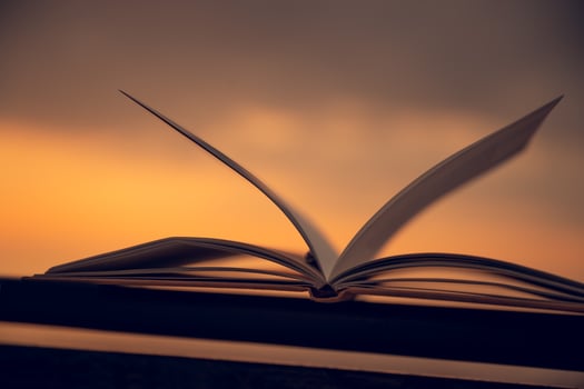 Cozy Evening with a Book photo