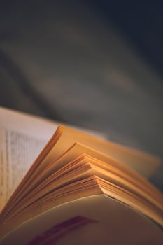 Reading Book at Home photo
