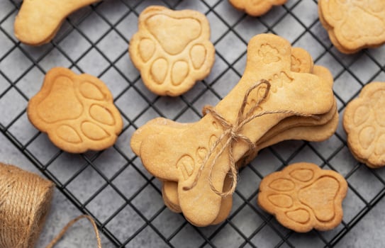Homemade dog biscuits photo