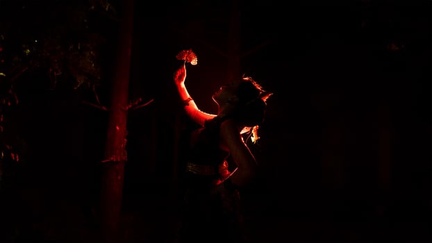 the silhouette of a female dancer holding jewelry that looks like a reflection reflecting in the dim light photo