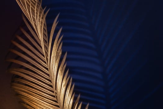 Glamor Golden tropical leaves and shadow on dark blue background, art deco style, selective focus photo