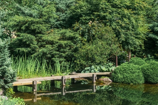 japanese garden with a zigzag bridge over a pond photo