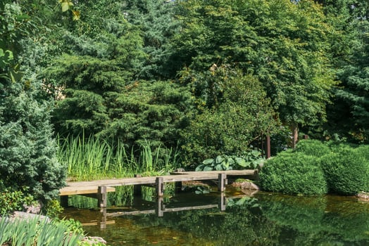 zigzag bridge over a pond in japanese garden photo