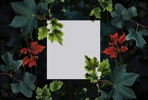 AI generated a blank paper surrounded by red leaves photo