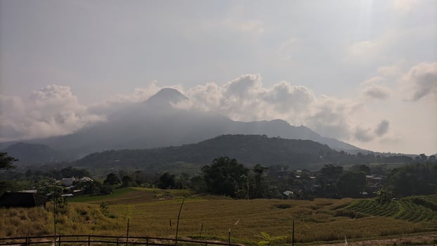 mountain view with beautiful sky. forest from above. photo