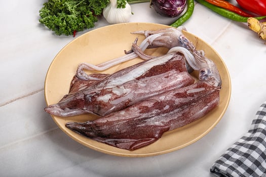 Raw fresh squid for grill photo
