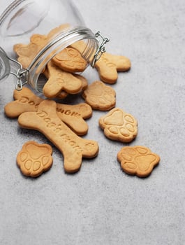 Homemade dog biscuits photo