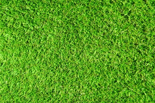 natural background, floral texture, green grass, foliage photo